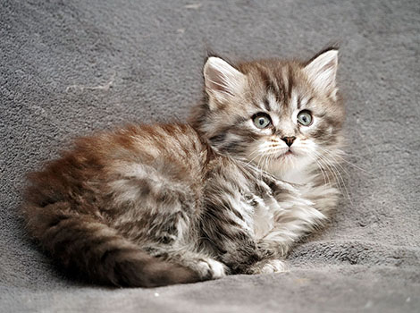 Svetlana am 19.06.2025